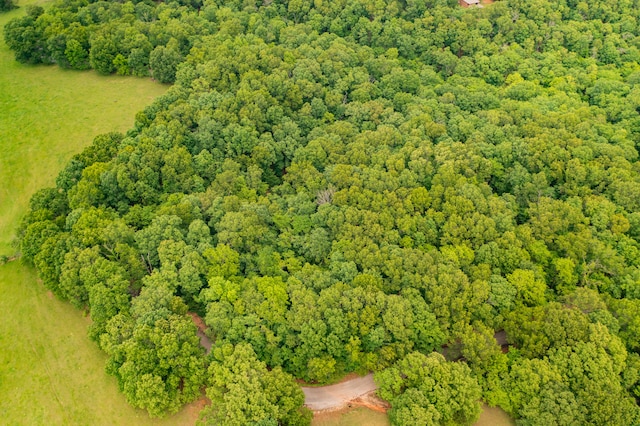 000 Hummingbird Rd, Ozark MO, 65721 land for sale