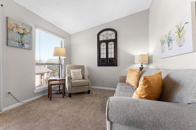 carpeted living room featuring a textured ceiling, a wealth of natural light, and vaulted ceiling