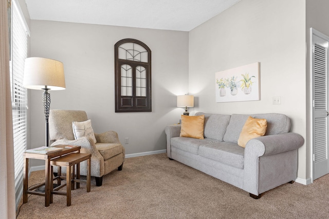 living room with carpet