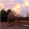 19763 Pug Gayer Rd, Fayetteville, AR 72703 - photo 15