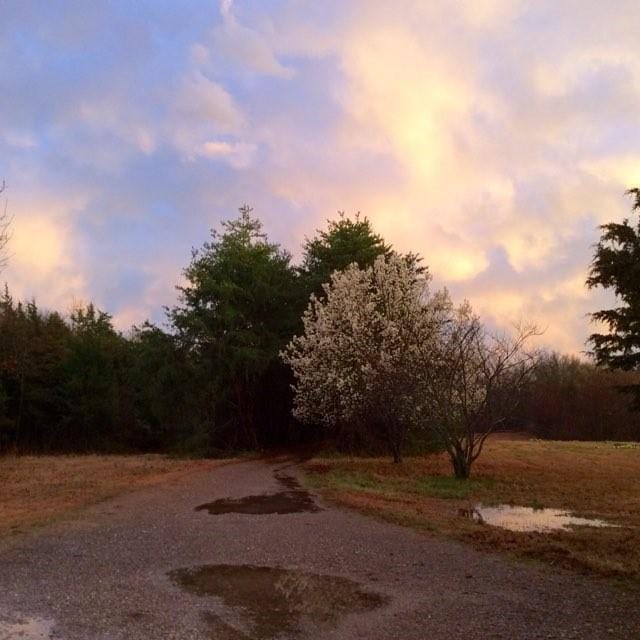 19763 Pug Gayer Rd, Fayetteville, AR 72703 - photo 14