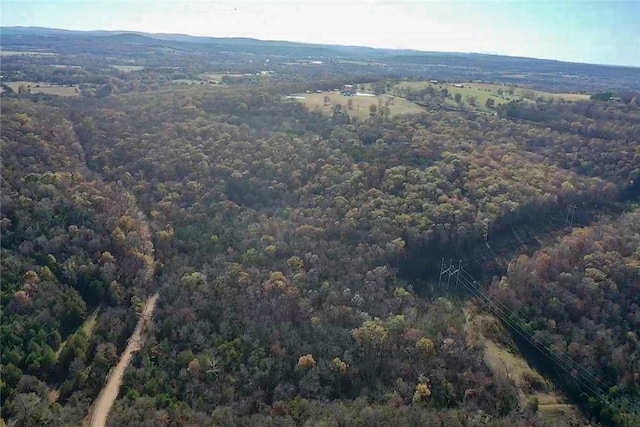 19763 Pug Gayer Rd, Fayetteville, AR 72703 - photo 17