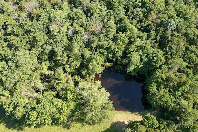 19763 Pug Gayer Rd, Fayetteville, AR 72703 - photo 29