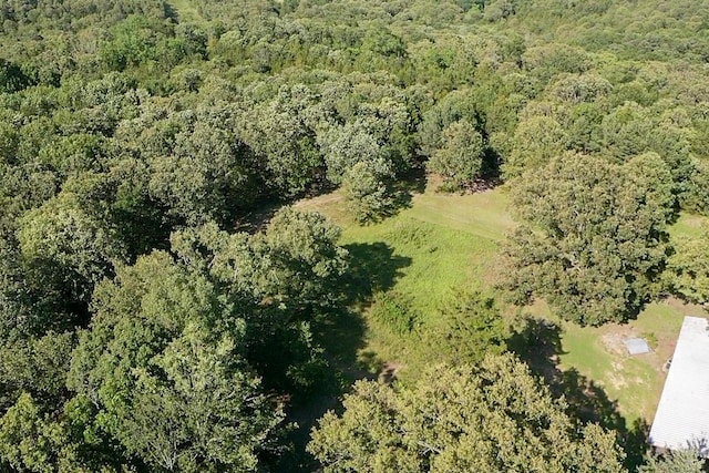 19763 Pug Gayer Rd, Fayetteville, AR 72703 - photo 33