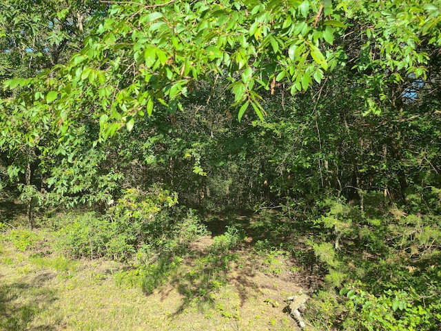19763 Pug Gayer Rd, Fayetteville, AR 72703 - photo 12