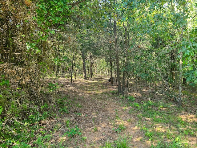 19763 Pug Gayer Rd, Fayetteville, AR 72703 - photo 10