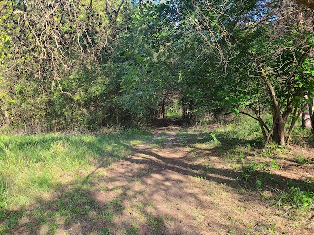 19763 Pug Gayer Rd, Fayetteville, AR 72703 - photo 21