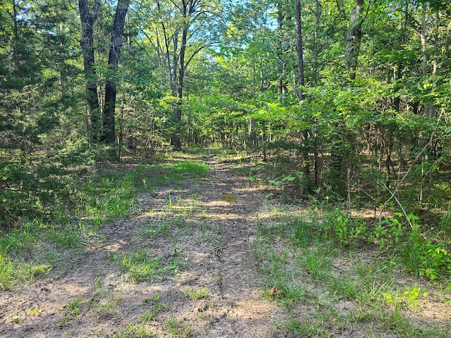 19763 Pug Gayer Rd, Fayetteville, AR 72703 - photo 20