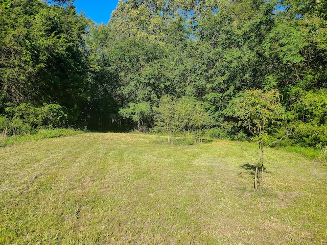 19763 Pug Gayer Rd, Fayetteville, AR 72703 - photo 11