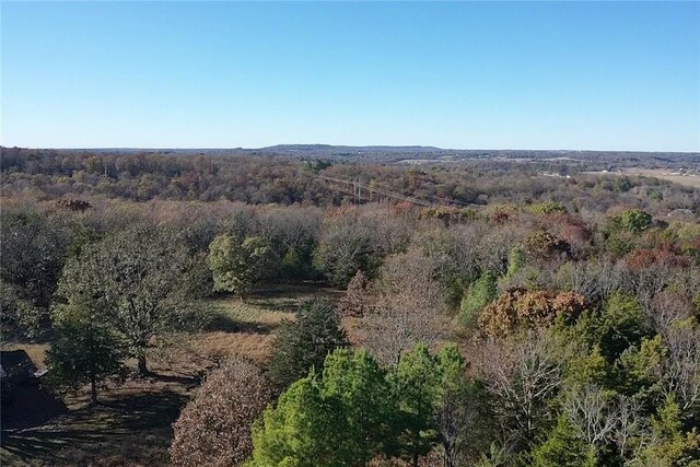 19763 Pug Gayer Rd, Fayetteville, AR 72703 - photo 45