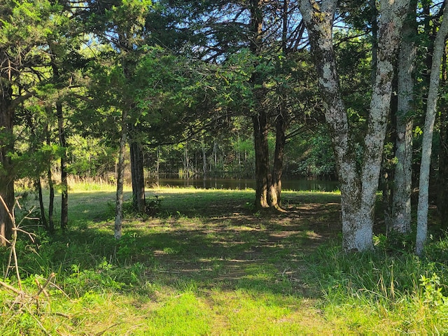 19763 Pug Gayer Rd, Fayetteville, AR 72703 - photo 38