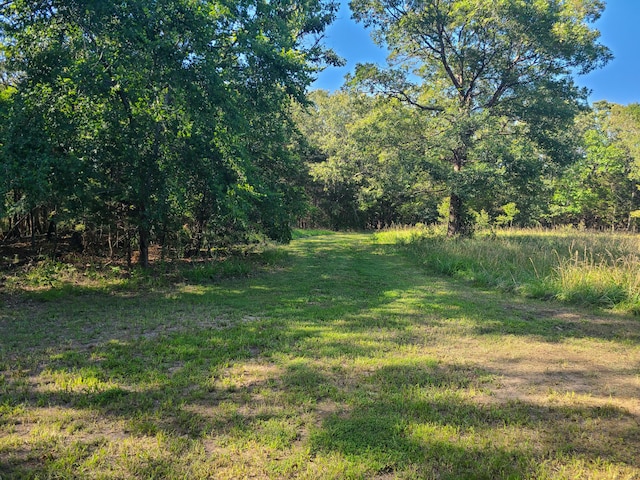 19763 Pug Gayer Rd, Fayetteville, AR 72703 - photo 58