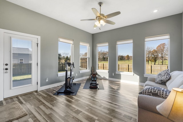 exercise area with hardwood / wood-style floors, plenty of natural light, and ceiling fan