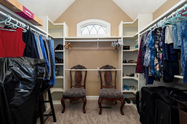 walk in closet featuring carpet and vaulted ceiling