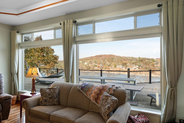 interior space featuring a mountain view and hardwood / wood-style floors