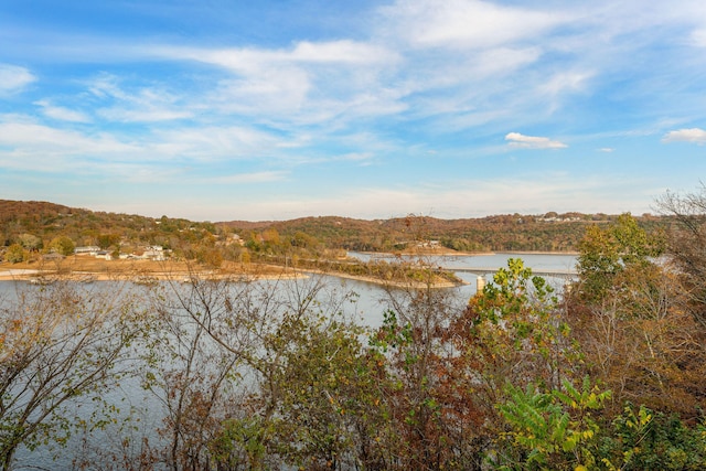 property view of water