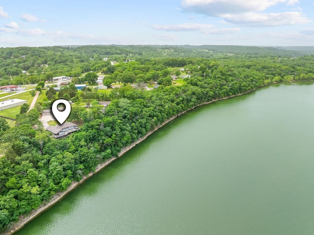 117 Kingdom St, Cape Fair, MO 65624 - aerial overview of property's location featuring a forest and a nearby body of water