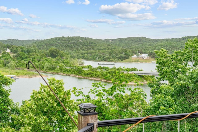 117 Kingdom St, Cape Fair, MO 65624 - water view featuring a heavily wooded area