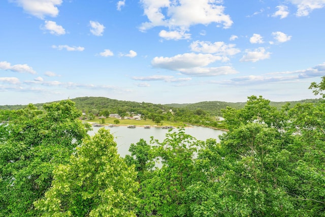 117 Kingdom St, Cape Fair, MO 65624 - water view