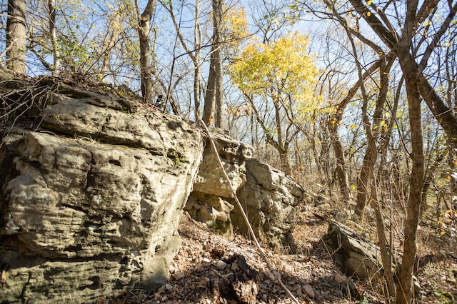 view of landscape