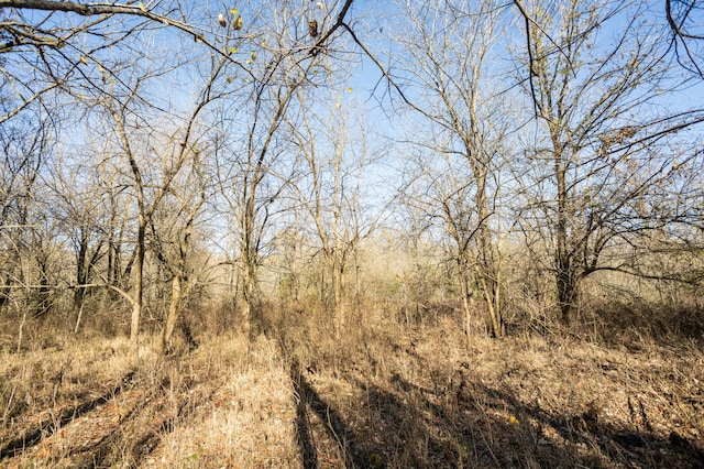 view of nature