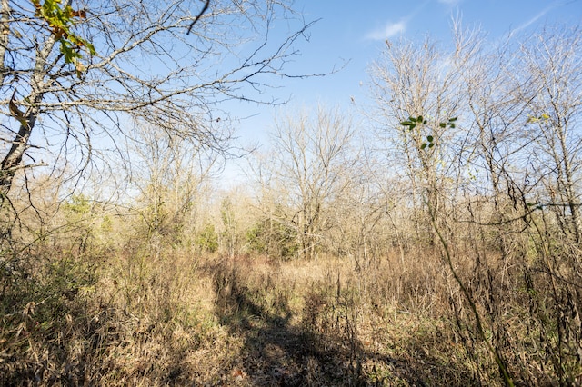 view of nature