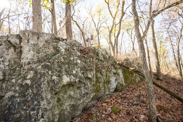 view of nature