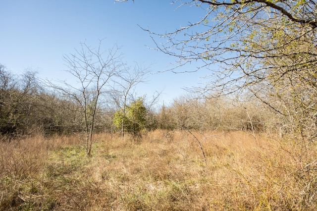 view of landscape