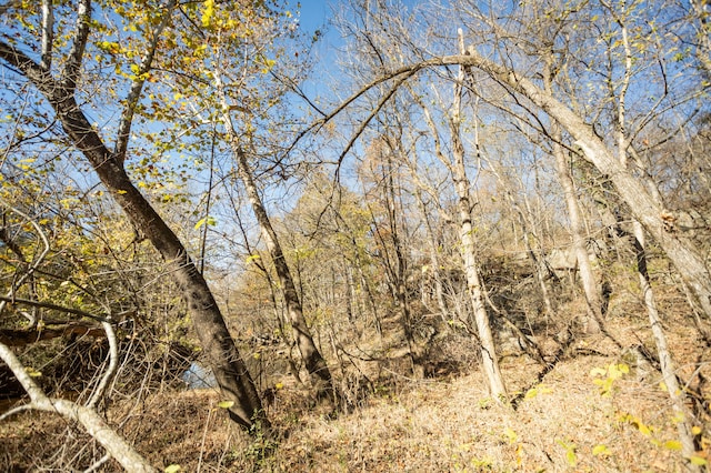 view of local wilderness