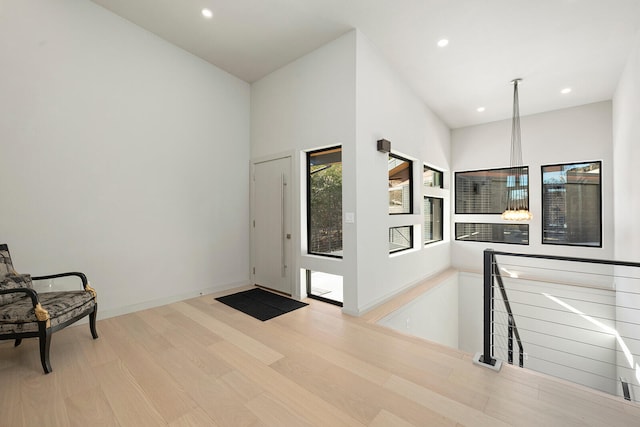 foyer entrance with a high ceiling and light hardwood / wood-style floors