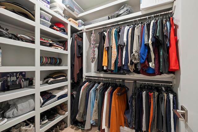 view of spacious closet