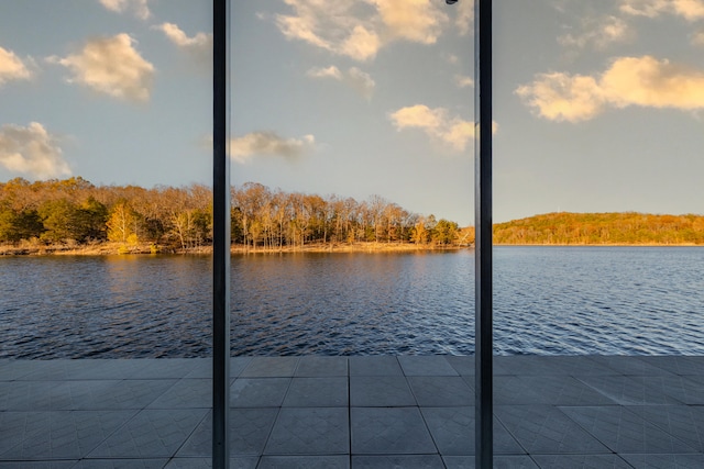 dock area with a water view