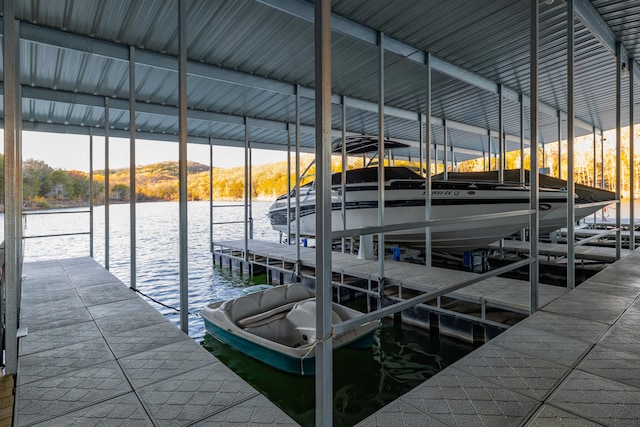 dock area with a water view