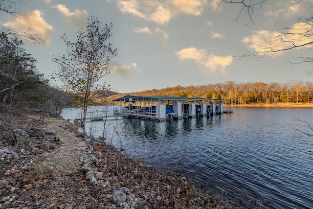 dock area with a water view