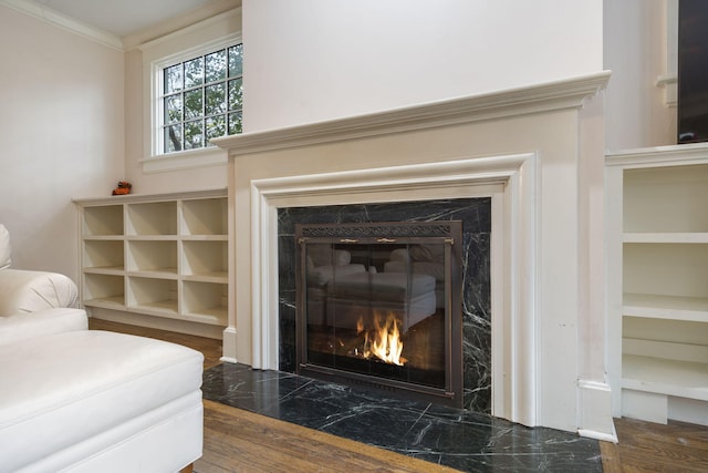 details featuring hardwood / wood-style floors, built in features, ornamental molding, and a premium fireplace