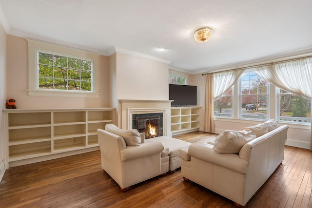 living room with dark hardwood / wood-style floors, plenty of natural light, and ornamental molding