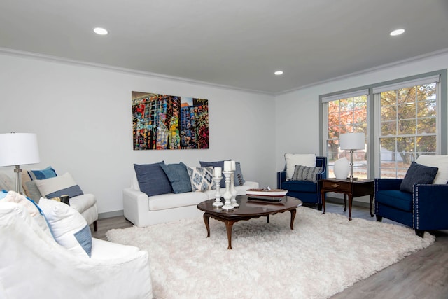 living room featuring wood-type flooring and ornamental molding