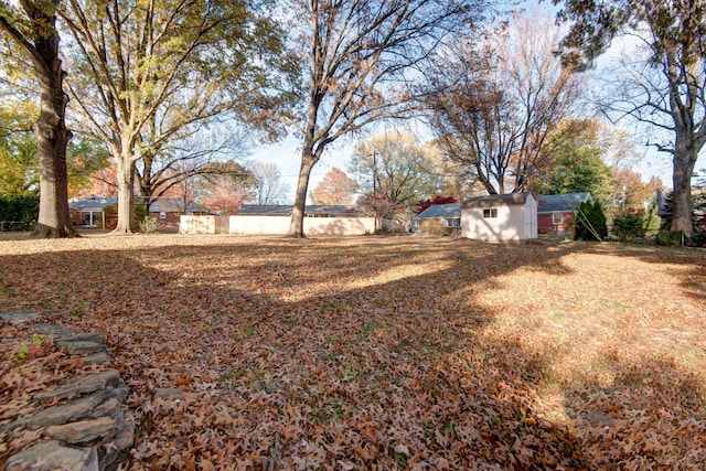 view of yard with a storage shed