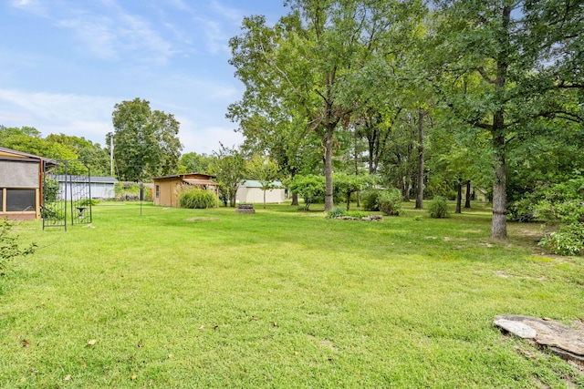 view of yard featuring a shed