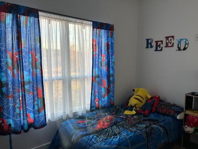 bedroom featuring multiple windows