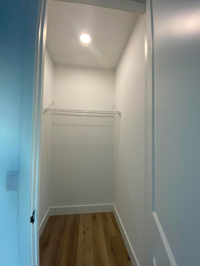 spacious closet with hardwood / wood-style flooring