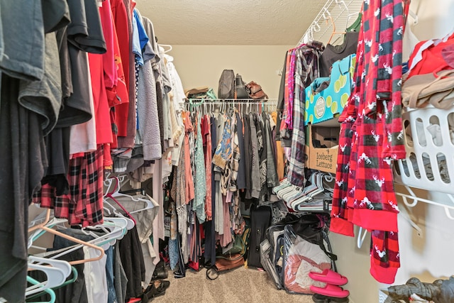 walk in closet featuring carpet floors