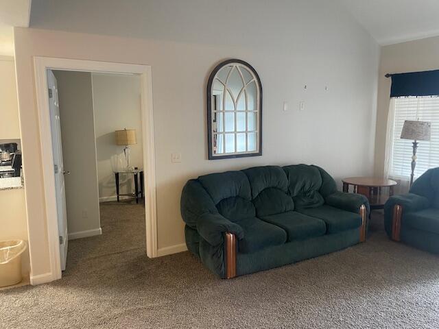 180 Grace Chapel Unit 322, Blue Eye, MO 65611 - photo 4