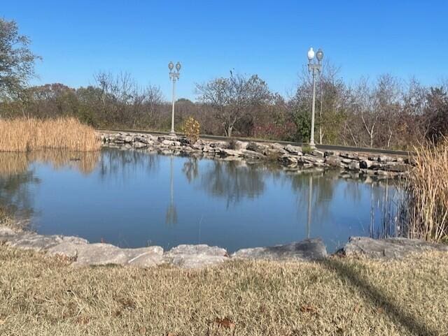180 Grace Chapel Unit 322, Blue Eye, MO 65611 - photo 15