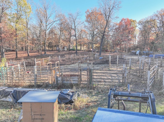 view of yard featuring a rural view