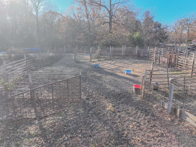 view of yard with a rural view