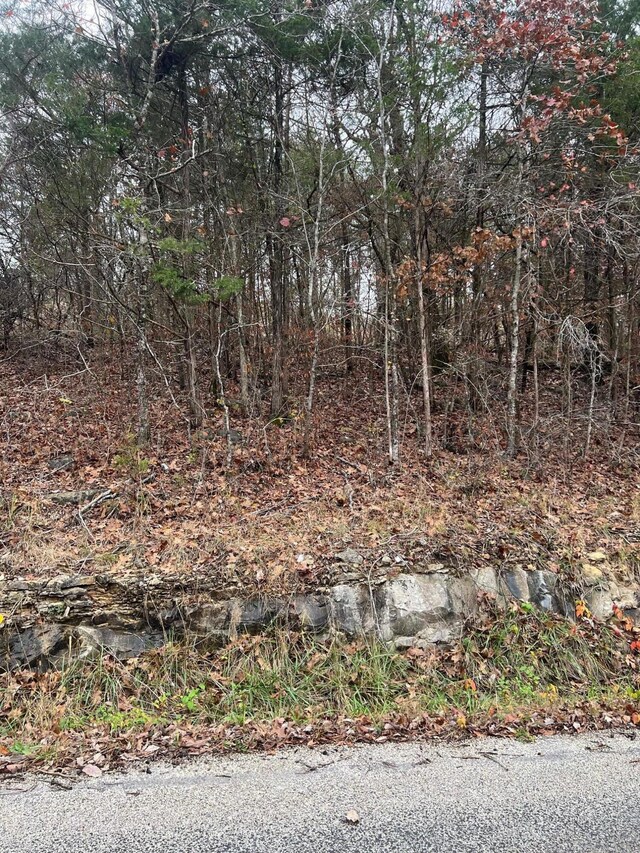 000 Honey Ln, Rockaway Beach, MO 65740