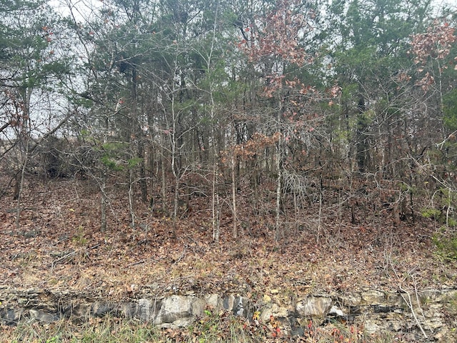 000 Honey Ln, Rockaway Beach MO, 65740 land for sale