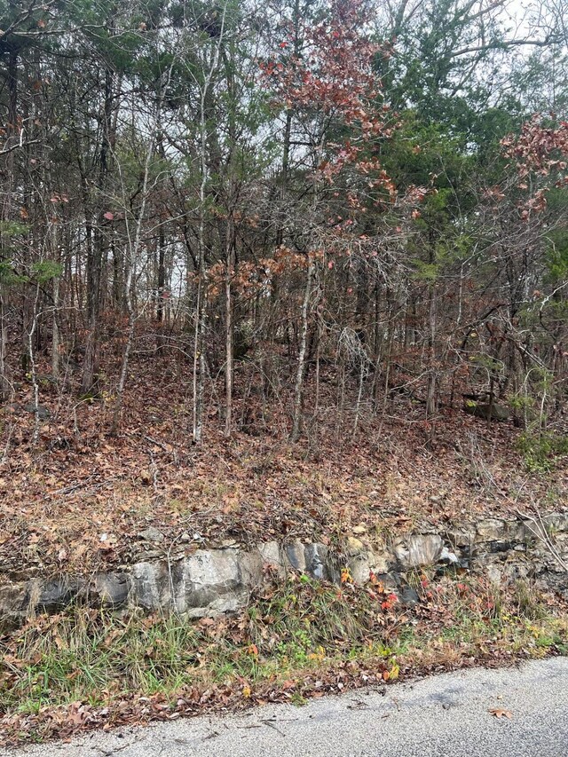 000 Honey Ln, Rockaway Beach, MO 65740