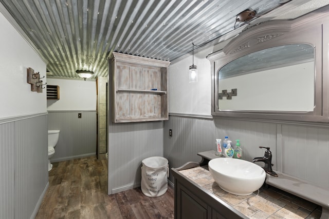 bathroom featuring vanity, hardwood / wood-style flooring, and toilet